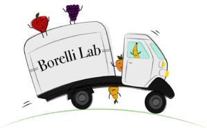 apecar-borell-lab